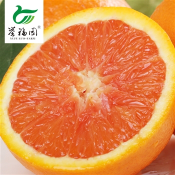 誉福园 秭归中华红肉脐橙橙子10斤装说明书,价
