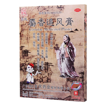 吉民 麝香追風(fēng)膏10cm*14cm*16片0 