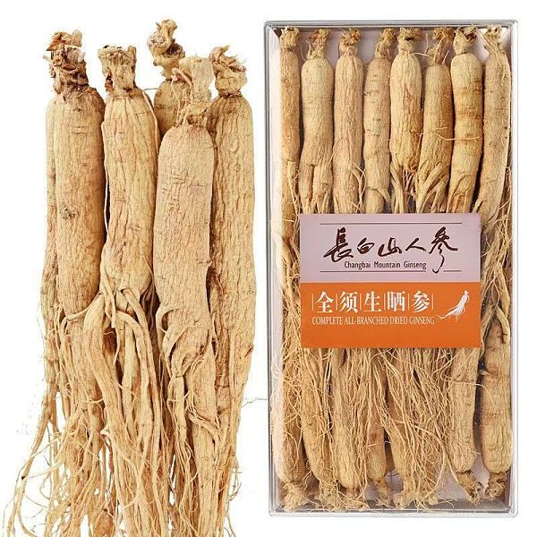 長白山人參全須生曬參300g